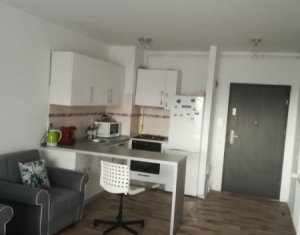 Appartement 2 chambres à louer dans Cluj-napoca, zone Buna Ziua