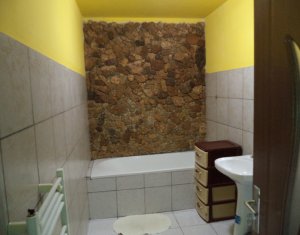 Appartement 2 chambres à louer dans Cluj-napoca