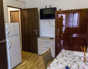 Appartement 1 chambres à louer dans Cluj-napoca, zone Marasti