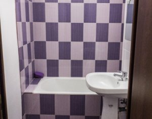 Appartement 1 chambres à louer dans Cluj-napoca, zone Marasti