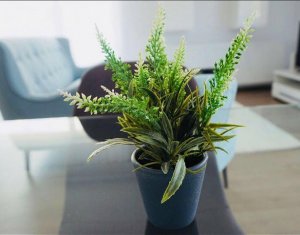 Appartement 3 chambres à louer dans Cluj-napoca, zone Dambul Rotund