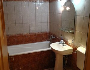Appartement 2 chambres à louer dans Cluj-napoca, zone Intre Lacuri