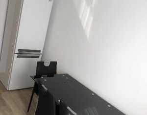 Appartement 2 chambres à louer dans Cluj-napoca, zone Intre Lacuri