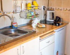 Appartement 1 chambres à louer dans Cluj-napoca, zone Grigorescu