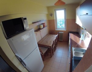 Appartement 2 chambres à louer dans Cluj-napoca, zone Gheorgheni