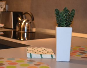Appartement 2 chambres à louer dans Cluj-napoca, zone Centru