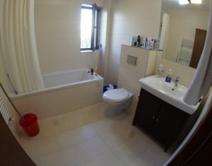 Appartement 4 chambres à louer dans Cluj-napoca, zone Centru