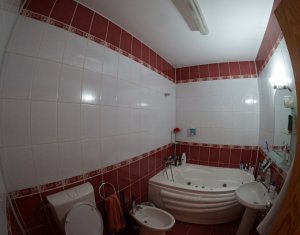Maison 4 chambres à louer dans Cluj-napoca, zone Centru