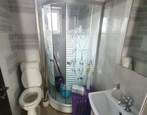 Ház 4 szobák kiadó on Floresti