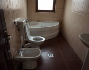 Maison 5 chambres à louer dans Cluj-napoca, zone Gruia