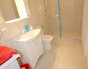 Appartement 3 chambres à louer dans Cluj-napoca, zone Buna Ziua