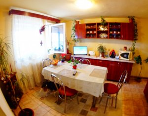 Maison 8 chambres à vendre dans Cluj-napoca, zone Someseni