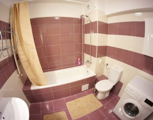 Appartement 2 chambres à louer dans Cluj-napoca, zone Gheorgheni