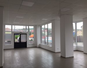 Espace Commercial à louer, 201m2 dans Cluj-napoca, zone Gara