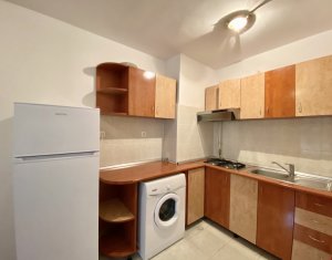 Appartement 1 chambres à louer dans Cluj-napoca, zone Zorilor