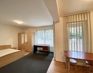 Appartement 1 chambres à louer dans Cluj-napoca, zone Zorilor