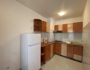 Appartement 1 chambres à louer dans Cluj-napoca, zone Zorilor