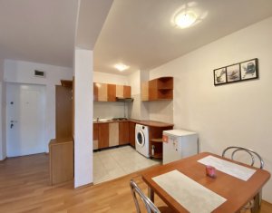 Appartement 1 chambres à louer dans Cluj-napoca, zone Zorilor