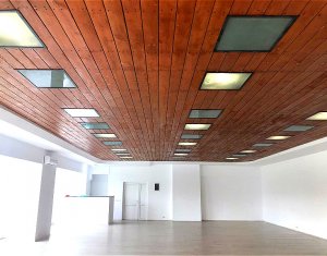 Bureau à louer dans Cluj-napoca, zone Gruia