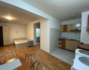 Appartement 1 chambres à louer dans Cluj-napoca, zone Zorilor