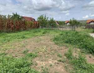 Maison 6 chambres à vendre dans Cluj-napoca, zone Someseni
