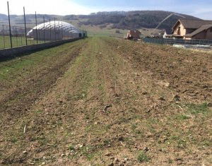 Terrain à vendre dans Floresti
