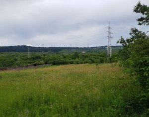 , 2541m2 dans Cluj-napoca, zone Buna Ziua