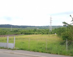 Terrain à vendre dans Cluj-napoca, zone Buna Ziua