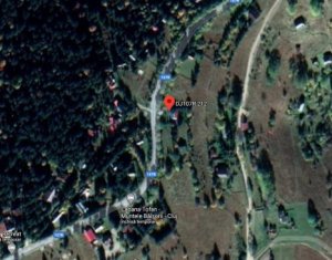 Terrain à vendre dans Muntele Baisorii