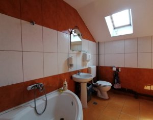 Maison 5 chambres à louer dans Cluj-napoca, zone Buna Ziua