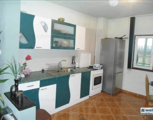 Maison 9 chambres à vendre dans Cluj-napoca, zone Someseni