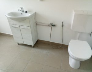 Maison 4 chambres à louer dans Floresti