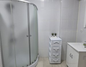 Appartement 2 chambres à louer dans Floresti