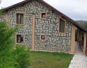 Maison 4 chambres à vendre dans Feleacu