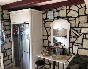 Maison 4 chambres à vendre dans Feleacu