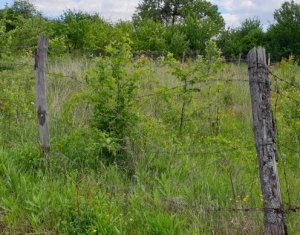 Terrain à vendre dans Cluj-napoca, zone Buna Ziua