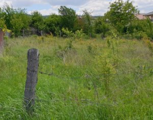 Terrain à vendre dans Cluj-napoca, zone Buna Ziua