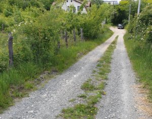 Terrain à vendre dans Cluj-napoca, zone Buna Ziua