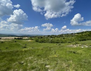Terrain à vendre dans Cluj-napoca, zone Faget