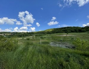 Terrain à vendre dans Cluj-napoca, zone Faget