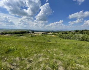 Terrain à vendre dans Cluj-napoca, zone Faget