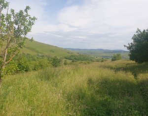 Teren autorizat, 800 mp, Ciurila