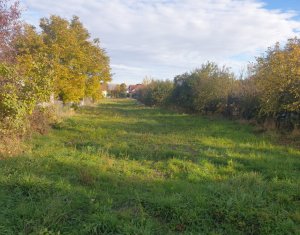 , 2900m2 in Cluj-napoca, zona Buna Ziua