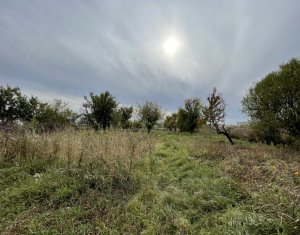 Maison 4 chambres à vendre dans Tureni