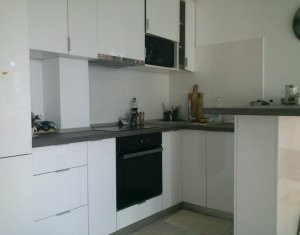 Appartement 1 chambres à louer dans Cluj-napoca, zone Andrei Muresanu