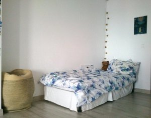 Appartement 1 chambres à louer dans Cluj-napoca, zone Andrei Muresanu