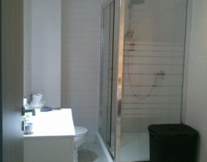 Appartement 1 chambres à louer dans Cluj-napoca, zone Andrei Muresanu
