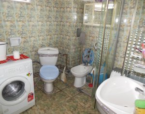 Maison 3 chambres à vendre dans Cluj-napoca, zone Iris