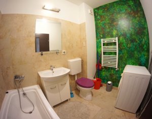 Appartement 1 chambres à louer dans Cluj-napoca, zone Marasti