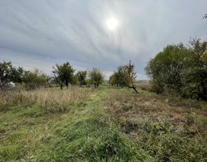 Terrain à vendre dans Cluj-napoca